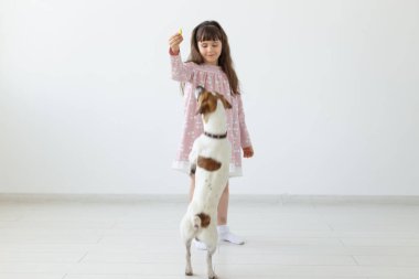 Pembe elbiseli küçük çocuk kız köpeği Jack Russell Terrier ile oynuyor