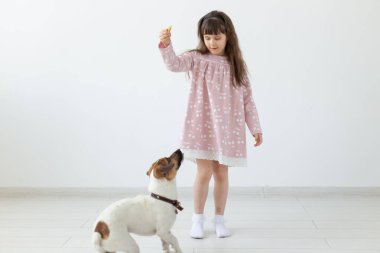Pembe elbiseli küçük çocuk kız köpeği Jack Russell Terrier ile oynuyor