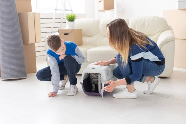 Magro jovem mãe e pequeno filho lançar seu belo cinza Scottish Fold gato em seu novo apartamento na sala de estar. O conceito de tradição com o aquecimento doméstico . — Fotografia de Stock