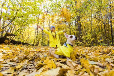 Sonbahar güneşli bir günde turuncu ve sarı yapraklı arka planda küçük bir kızın portresi. Küçük köpek yavrusu Jack Russell Terrier. Hayvan ve çocuk kavramı. Arkadaşlık..