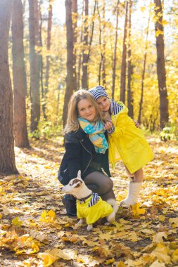 Sonbahar parkında köpeğiyle bir kadın. Dışarıda Jack Russell Terrier 'la oynayan kız. Evcil hayvan ve insan kavramı.