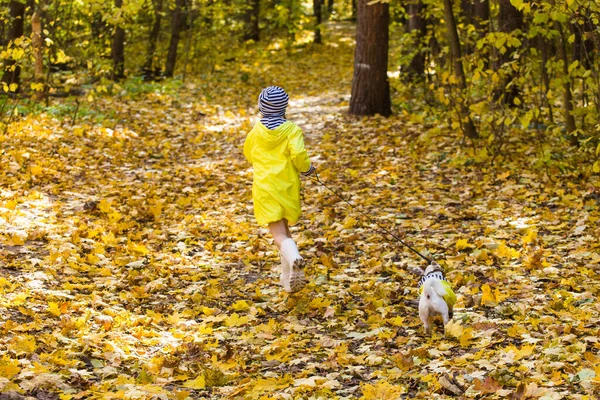 Barnflicka med hund utomhus. Ung med husdjur på hösten. Jack Russell terrier valp. — Stockfoto