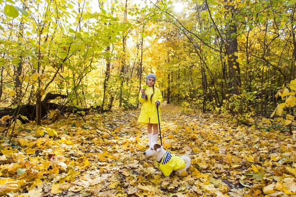 Πορτρέτο ενός μικρού κοριτσιού σε φόντο πορτοκαλί και κίτρινων φύλλων σε μια φθινοπωρινή ηλιόλουστη μέρα. Μικρό κουτάβι Τζακ Ράσελ Τεριέ. Έννοια κατοικίδιων και παιδιών. Φιλία. — Φωτογραφία Αρχείου