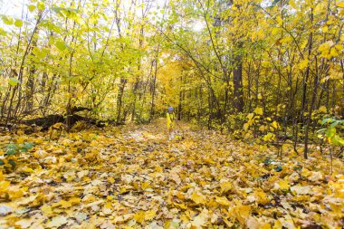 Çocuk sonbahar ormanında Jack Russell Terrier ile oynuyor. Bir köpek, çocuklar ve evcil hayvan konseptiyle sonbahar yürüyüşü.