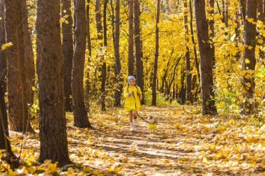 Sonbahar güneşli bir günde turuncu ve sarı yapraklı arka planda küçük bir kızın portresi. Küçük köpek yavrusu Jack Russell Terrier. Hayvan ve çocuk kavramı. Arkadaşlık..