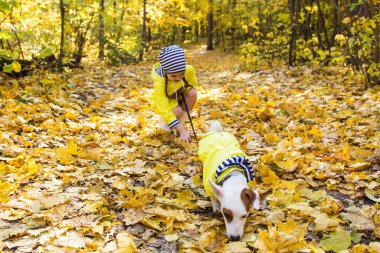 Küçük kız sonbahar ormanında köpeğiyle oynuyor. Çocuk ve Jack Russell Terrier köpeği.