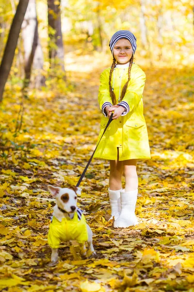 Niña con un perro Jack Russell Terrier. Niño, infancia, amistad y concepto de mascota. Pequeño perro paseando en el parque de otoño. —  Fotos de Stock