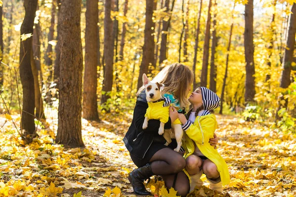 Γυναίκα με σκύλο Τζακ Ράσελ Τεριέ. Η φιλία και το κατοικίδιο ζώο έννοια. Μικρό σκυλί με τα πόδια στο πάρκο φθινόπωρο. — Φωτογραφία Αρχείου