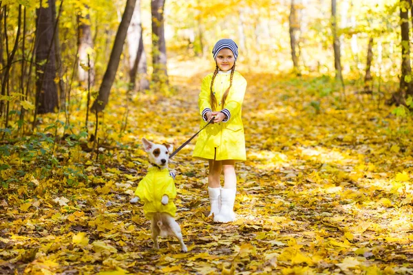 Niña jugando con su perro en el bosque de otoño. Niño y gato russell terrier perro. —  Fotos de Stock