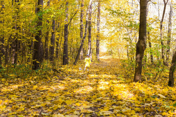 Little girl playing with her dog in autumn forest. Child and jack russell terrier dog.