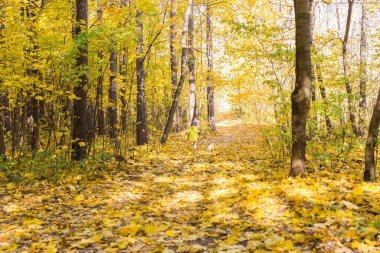 Jack Russell Terrier köpeği olan küçük bir kız. Çocuk, çocukluk, arkadaşlık ve evcil hayvan konsepti. Sonbahar parkında yürüyen küçük bir köpek..