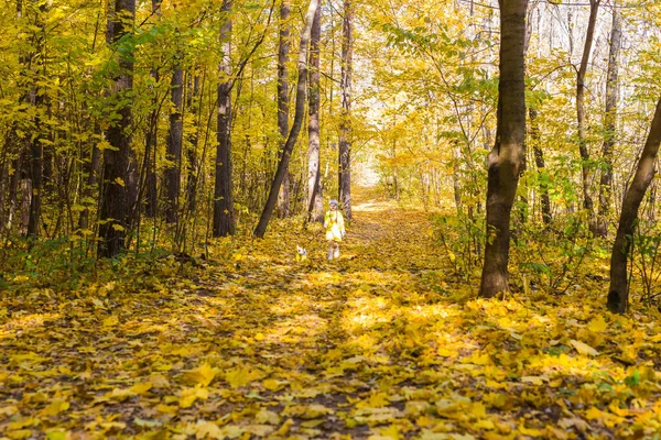 Criança brinca com Jack Russell Terrier na floresta de outono. Passeio de outono com um cão, crianças e conceito de animal de estimação. — Fotografia de Stock
