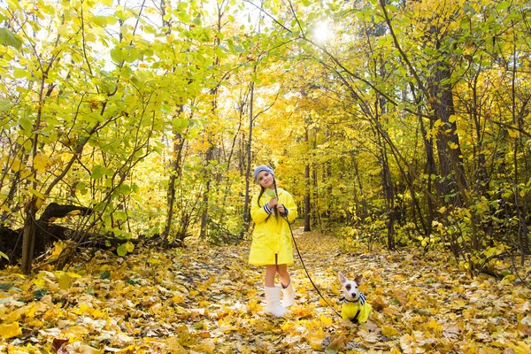 Menina criança com cão ao ar livre. Criança com animal de estimação no outono. Jack Russell terrier cachorrinho. — Fotografia de Stock