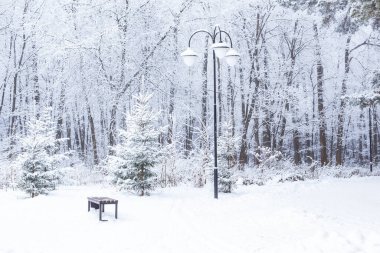 Mevsim ve doğa kavramı - Karda Kış Parkı