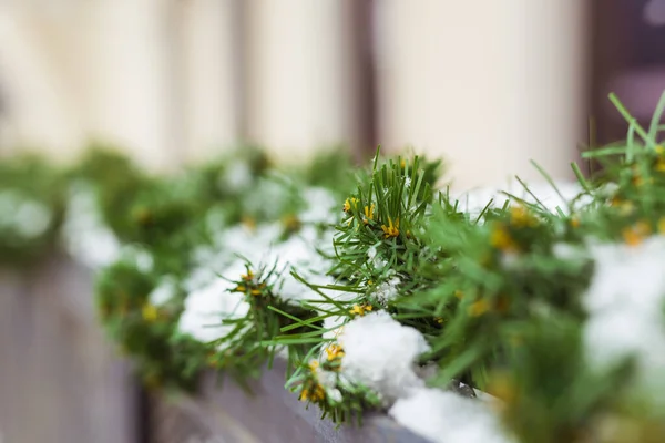 Decoración de Navidad barandilla ramas de un árbol de Navidad azul. Decoración fuera de la casa para crear un ambiente festivo —  Fotos de Stock