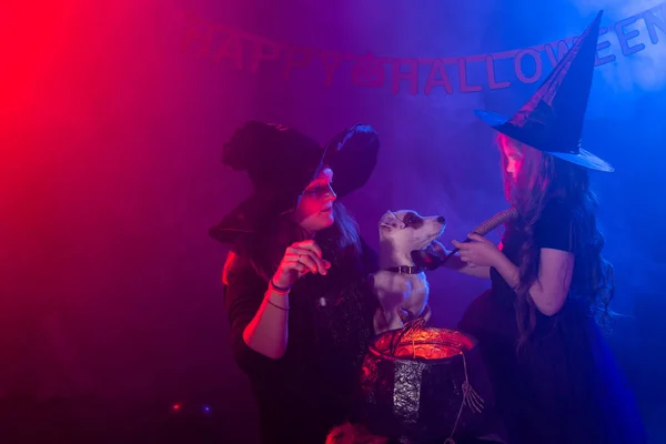 Lustige Kindermädchen und -frauen in Hexenkostümen zu Halloween mit Hund. — Stockfoto