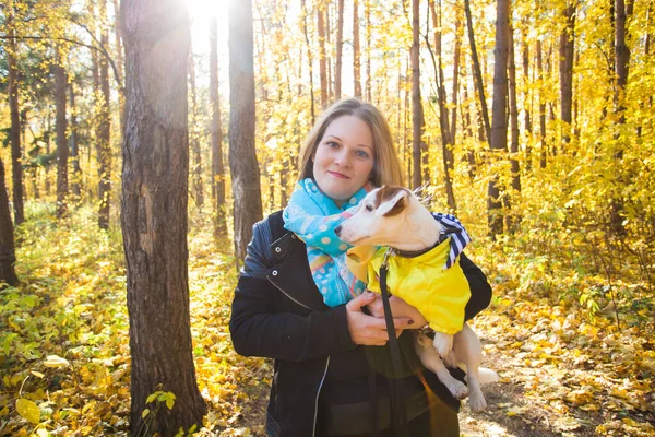 Mujer con su perro en el parque de otoño. Chica jugando con Jack Russell Terrier al aire libre. Concepto de mascotas y personas. — Foto de Stock