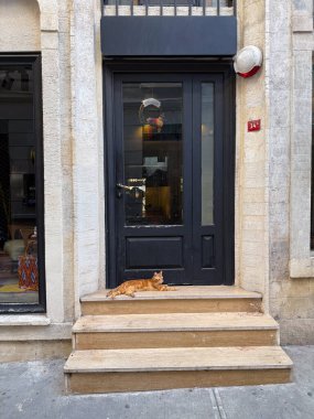 Siyah bir kapının yanındaki taş basamaklarda yatan turuncu kedi. Yurtiçi varlık, kentsel yaşam tarzı ve günlük rutin anlar.
