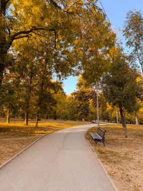 Şehir parkındaki ağaçların altındaki ahşap bankla kıvrımlı patika. Mevsimsel atmosfer, açık hava eğlencesi ve doğal sağlık sakin bir eğlence ve günlük yaşam tarzı rutini.