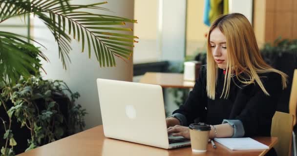 Chica rubia joven trabaja con un sittig portátil en la mesa en la cafetería. Freelancer está buscando trabajo, imprimiendo algo y tomando café — Vídeo de stock