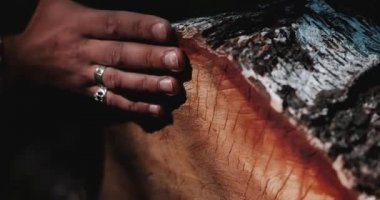 Kesilen ağaç ormandaki dokunmadan el Close-up. Oduncu ormanda