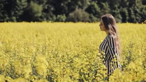 Chica bonita camina en el campo de violaciones, posando, y sonriendo a la cámara. Hermosa joven en el campo de la semilla de colza flores amarillas, día soleado — Vídeo de stock