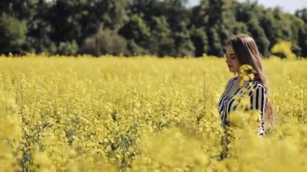 Chica bonita camina en el campo de violaciones, posando, y sonriendo a la cámara. Hermosa joven en el campo de la semilla de colza flores amarillas, día soleado — Vídeo de stock