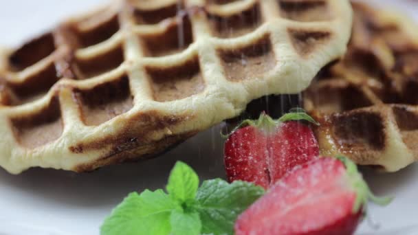 Porção de waffles belgas com morangos frescos no prato. Os chefs mão polvilhando sobremesa açúcar em pó — Vídeo de Stock