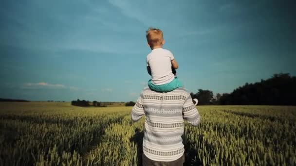 Padre lleva a su hijo sobre sus hombros. Un paseo por el campo de trigo al atardecer. Día de los Padres Concepto familiar — Vídeos de Stock