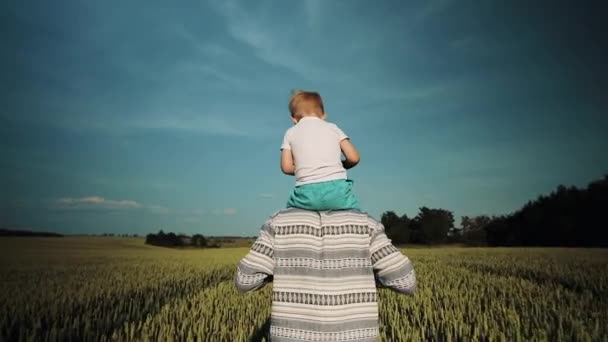 Vater trägt seinen Sohn auf den Schultern. Ein Spaziergang auf dem Weizenfeld bei Sonnenuntergang. Familienkonzept zum Vatertag — Stockvideo