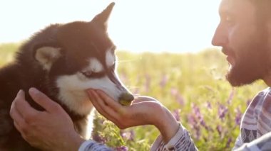 Köpek sahibinin elinden yemek yiyor. Su ince bir dere içine belgili tanımlık palmiye dökülür. Ağır çekim
