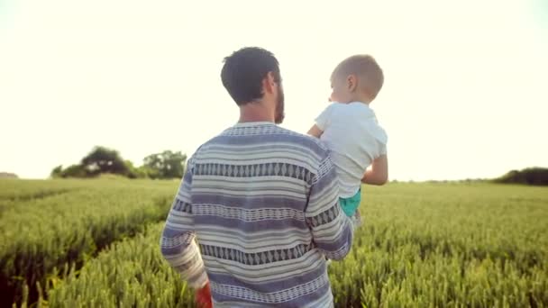 Padre lleva a su hijo sobre sus hombros. Un paseo por el campo de trigo al atardecer. Día de los Padres Concepto familiar — Vídeos de Stock
