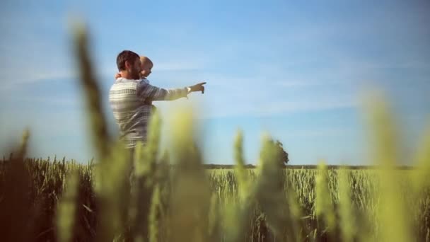 父は、彼の肩に彼の息子を着ています。日没時に麦畑を散歩。父の日は、家族の概念 — ストック動画