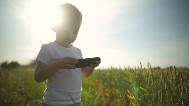 Mały chłopiec stoi w środku pola, używa smartfona, gra gry, publikuje zdjęcia. Nowoczesna zabawa, dla dzieci w Internecie — Wideo stockowe
