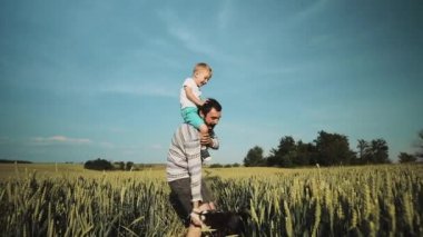 Baba ve oğul buğday sahada bir köpekle oynamayı. Babalar günü Aile kavramı
