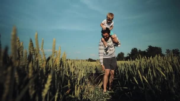 Pai e filho brincando com um cachorro no campo de trigo. Dia dos Pais Conceito de família — Vídeo de Stock