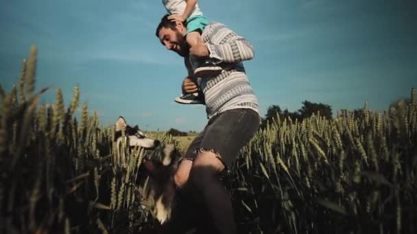 Pai e filho brincando com um cachorro no campo de trigo. Dia dos Pais Conceito de família — Vídeo de Stock