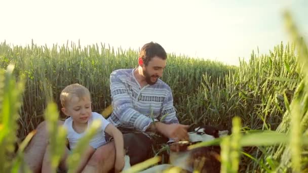 Père et fils jouent avec un chien sur le champ de blé. Fête des Pères Concept familial — Video