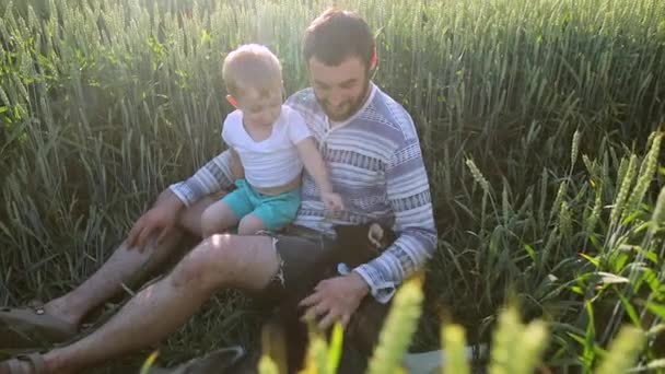 Ojciec i syn gra z psem na pole pszenicy. Koncepcja rodziny dzień ojców — Wideo stockowe