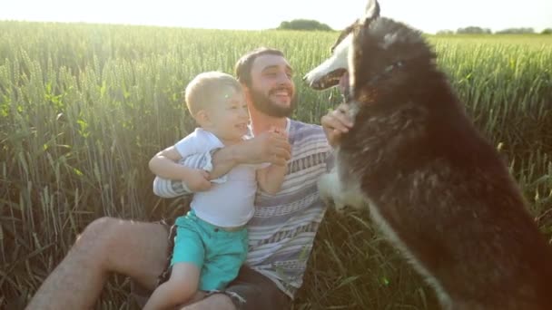 Πατέρας και γιος που παίζει με ένα σκυλί στο πεδίο σιτάρι. Πατέρων ημέρα οικογένειας έννοια — Αρχείο Βίντεο