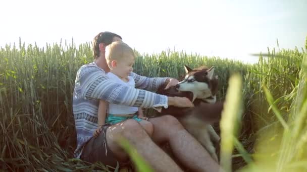 父子双方在麦田里和一只狗玩耍 父亲节家庭概念 — 图库视频影像