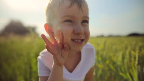 Retrato de menino bonito sonhando no campo de trigo — Vídeo de Stock