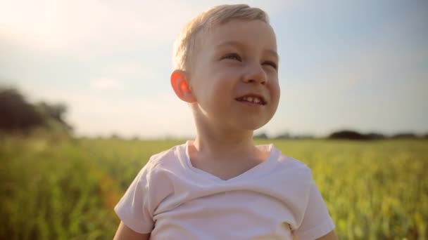 Portret van schattige kleine jongen droomt in tarweveld — Stockvideo
