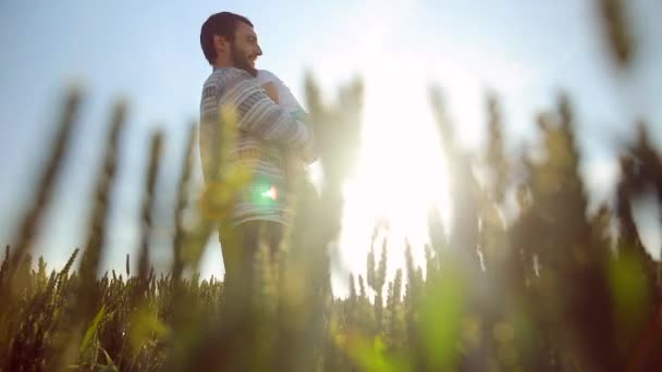 O pai forte pressionou o filho no céu. Brincando com ele ao pôr do sol no campo de trigo — Vídeo de Stock