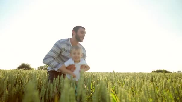 Starker Vater bedrängte Sohn in den Himmel. Spiel mit ihm bei Sonnenuntergang im Weizenfeld — Stockvideo