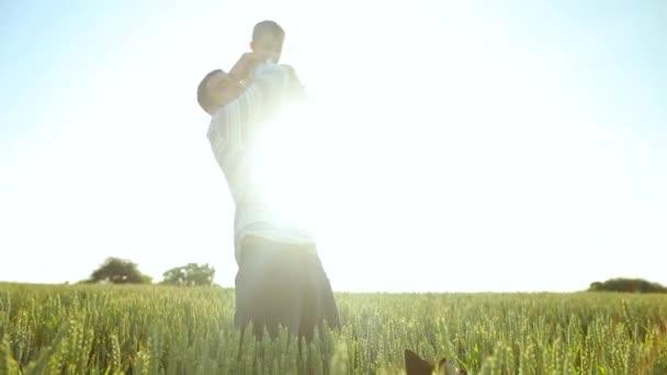 Vater und Sohn spielen mit einem Hund auf dem Weizenfeld. Familienkonzept zum Vatertag — Stockvideo