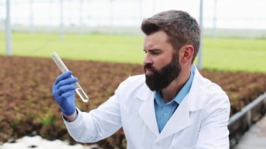 Erkek araştırmacı bir cam tüp bitkiler sera içinde önce ayakta bir örnek su ile tutar. Ziraat Mühendisi analizi, mühendislerimizin su kılar