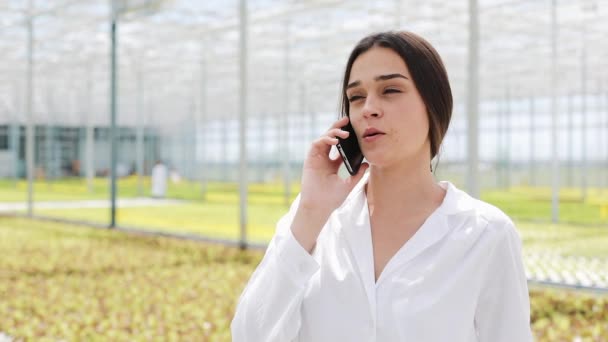 Pracovník Chůzi Skleníku Smartphone Pomocí Mobilní Mluvící Zemědělský Inženýr Pracující — Stock video