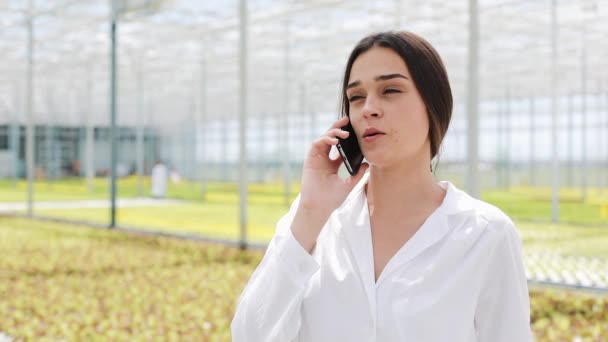 Trabajador Caminando Invernadero Usando Móvil Hablando Smartphone Ingeniero Agrícola Trabajando — Vídeos de Stock