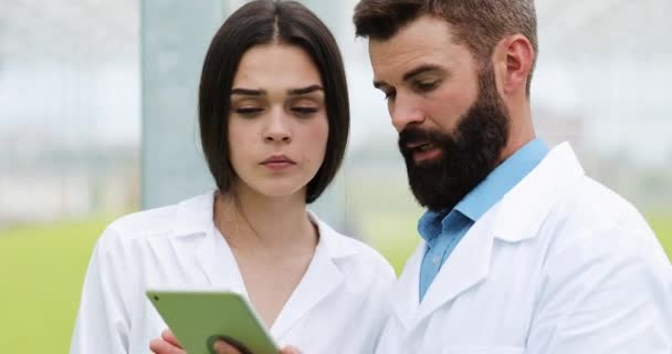 Método de hidroponia de salada crescente em estufa. Dois assistentes de laboratório examinam o cultivo de plantas verdejantes. Indústria agrícola — Vídeo de Stock